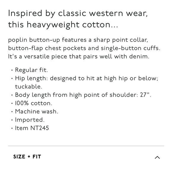 Madewell striped button up western style shirt - Picture 8 of 8